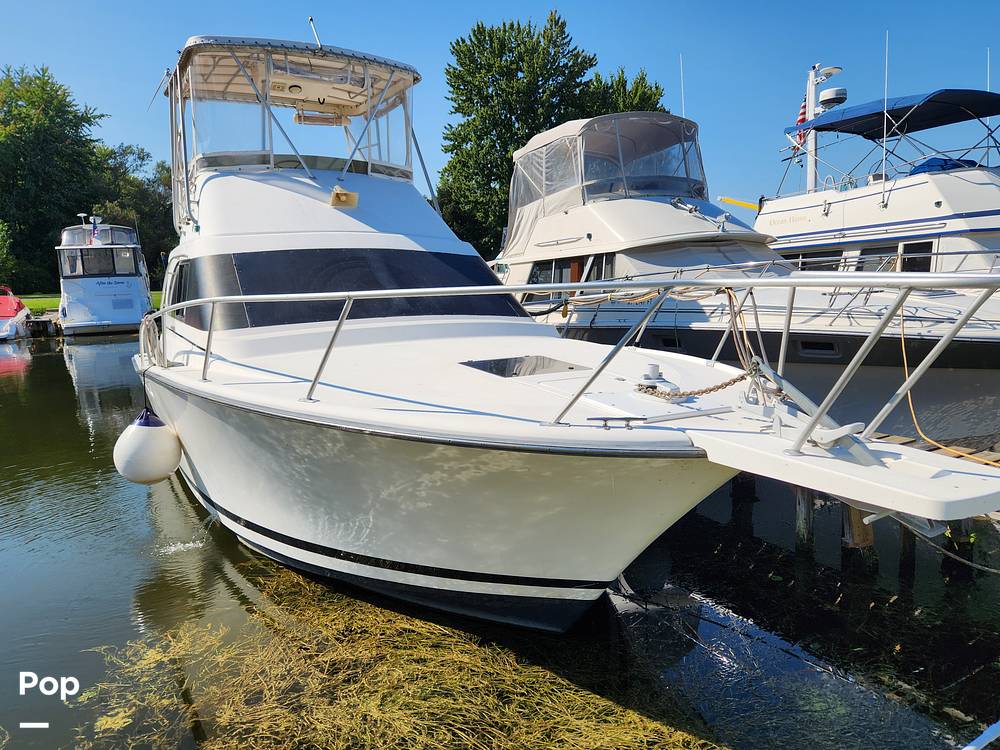 Slide: The Image of Luhrs Tournament 350 1992 - 14704783