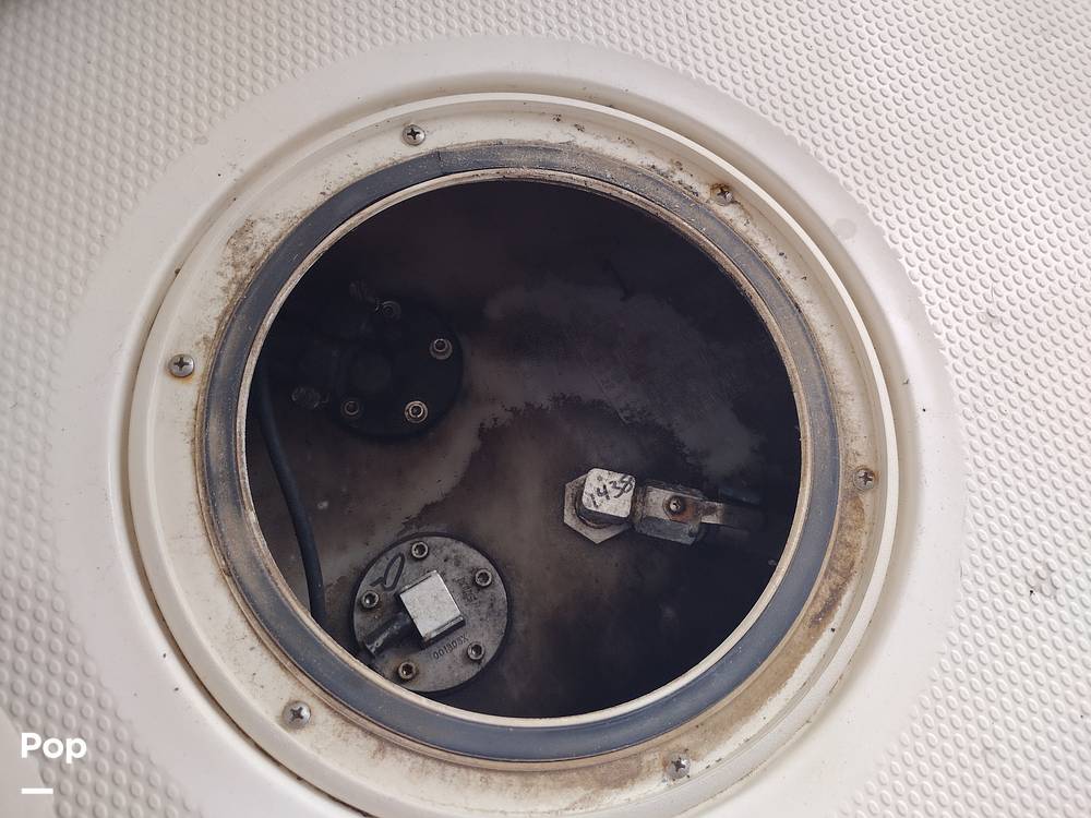 Slide: The Image of Mako 204CC 2019 - 12094826