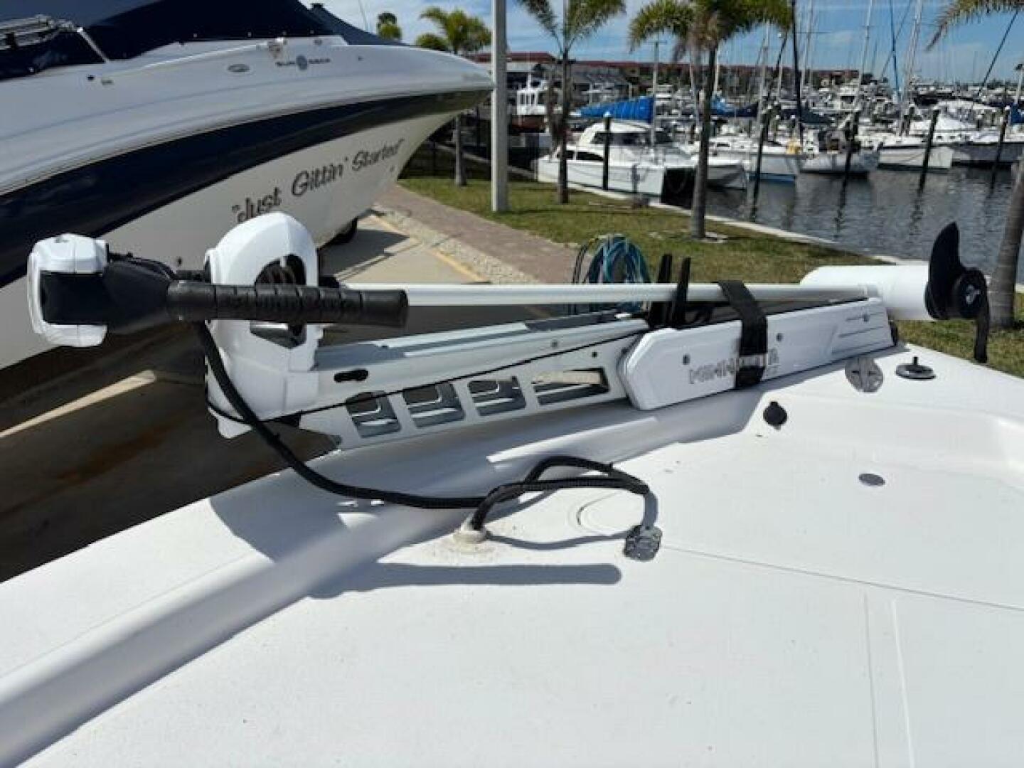 Slide: The Image of Mako 21 2003 - 5150267