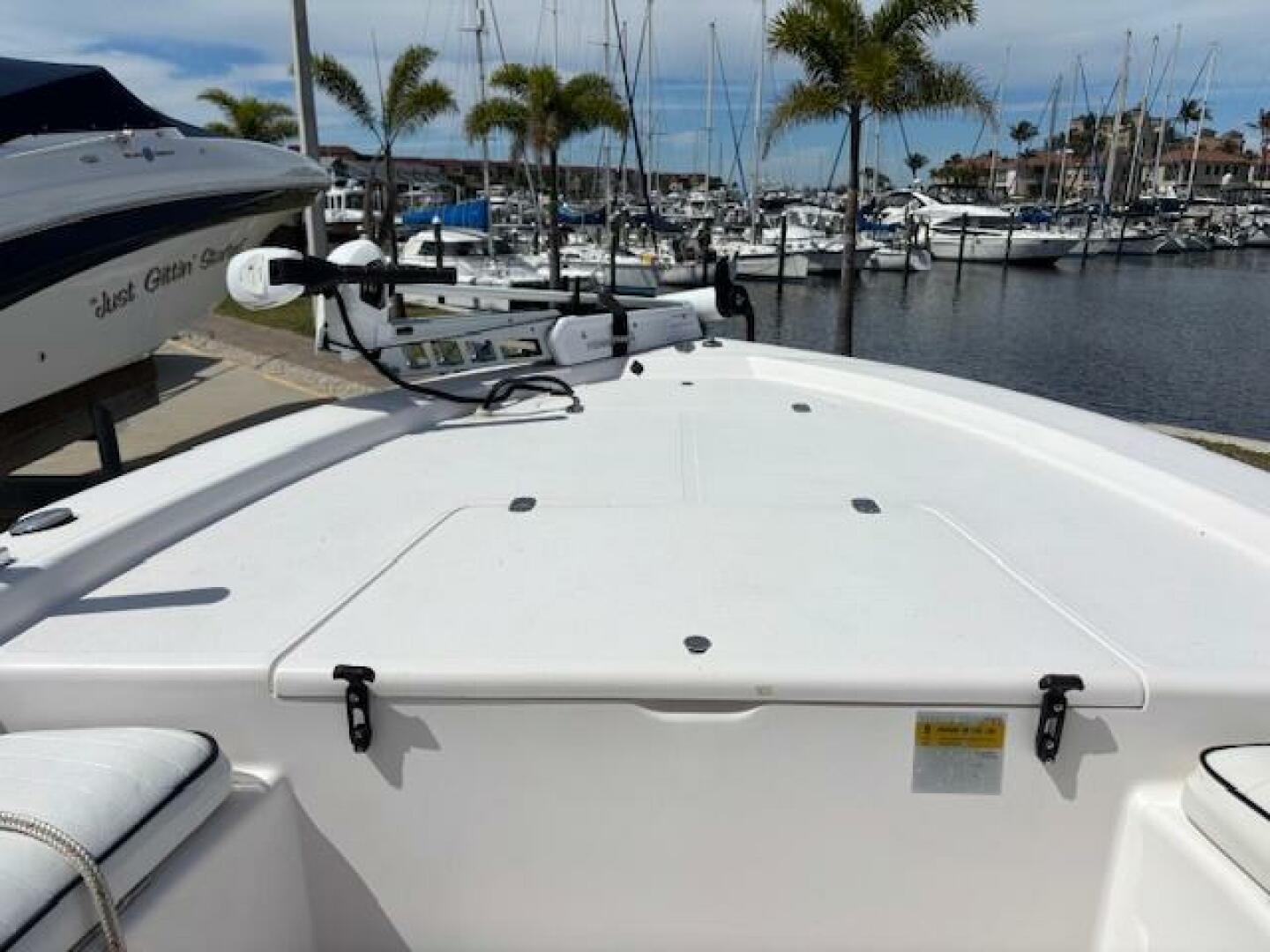 Slide: The Image of Mako 21 2003 - 5150268