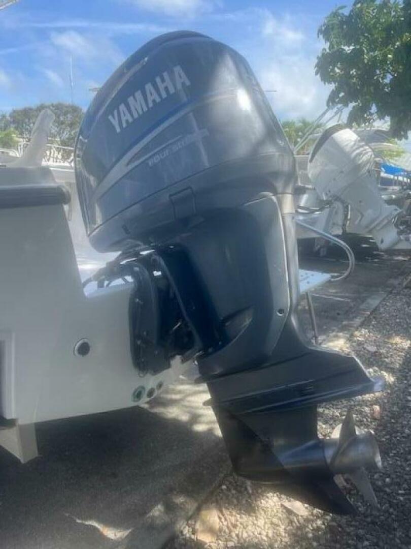 Slide: The Image of Mako 22 1999 - 5089217