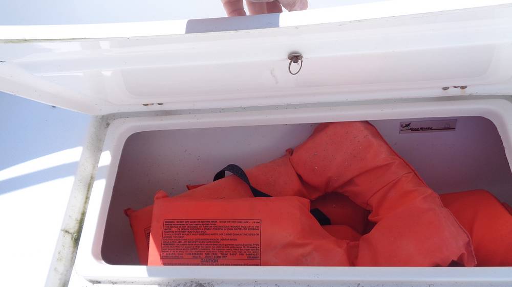 Slide: The Image of Mako 252 2002 - 15734811