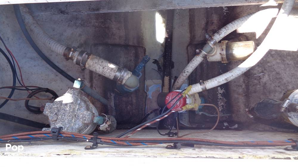 Slide: The Image of Mako 252 2002 - 15734837