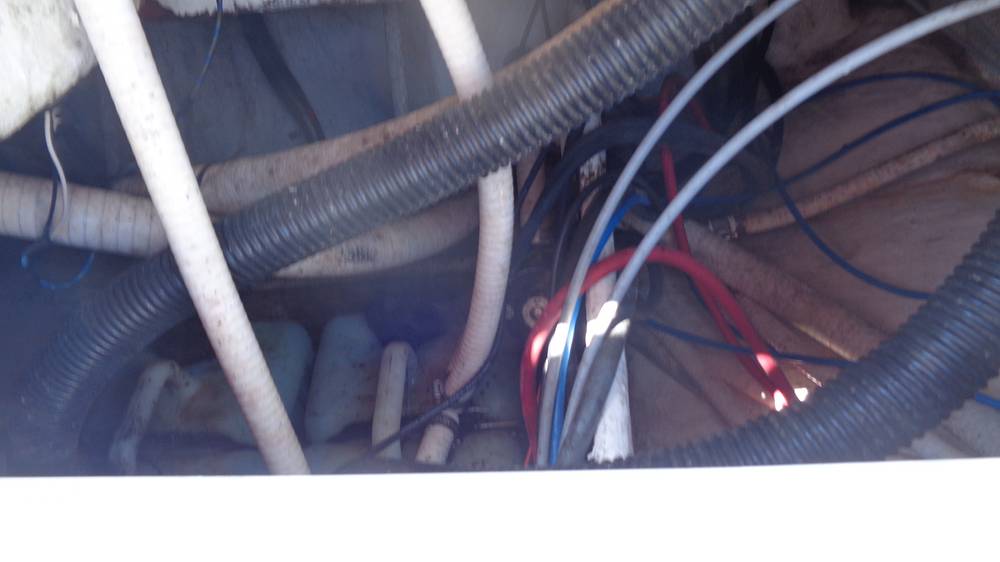 Slide: The Image of Mako 252 2002 - 15734838