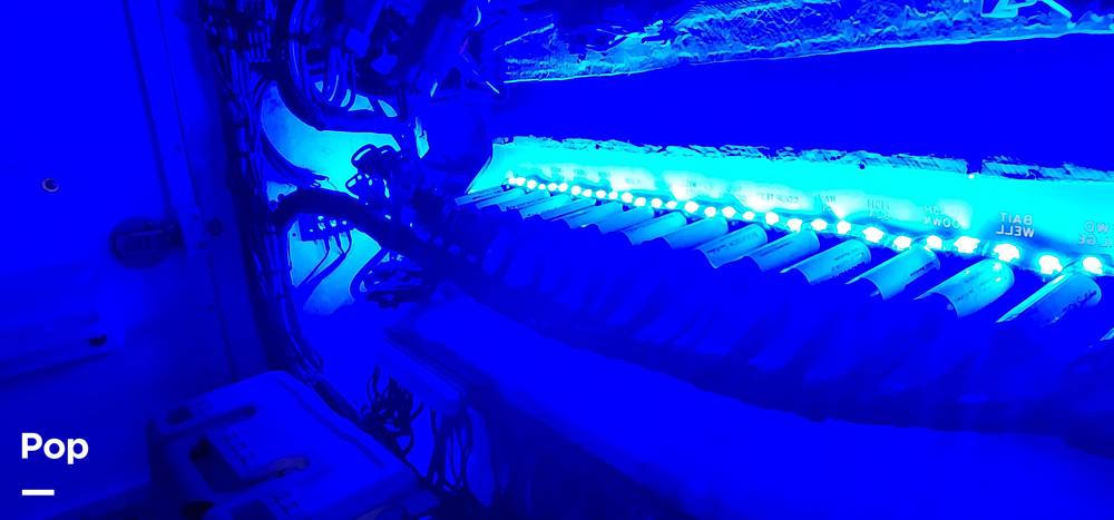 Slide: The Image of Mako Attack 333 1998 - 15499457