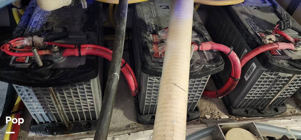 Slide: The Image of Mako Attack 333 1998 - 15504614