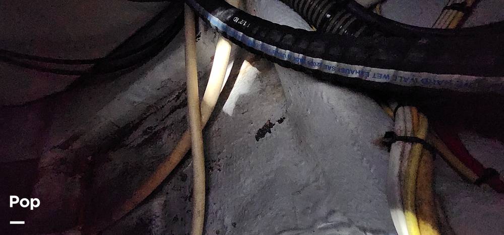 Slide: The Image of Mako Attack 333 1998 - 15504641