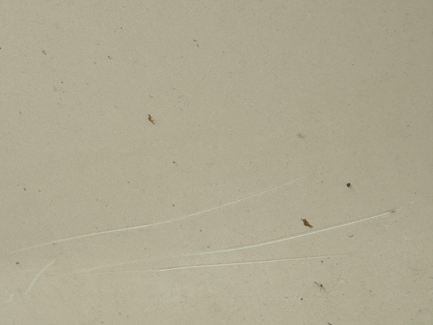 Slide: The Image of Malibu Sunsetter 1995 - 4636228