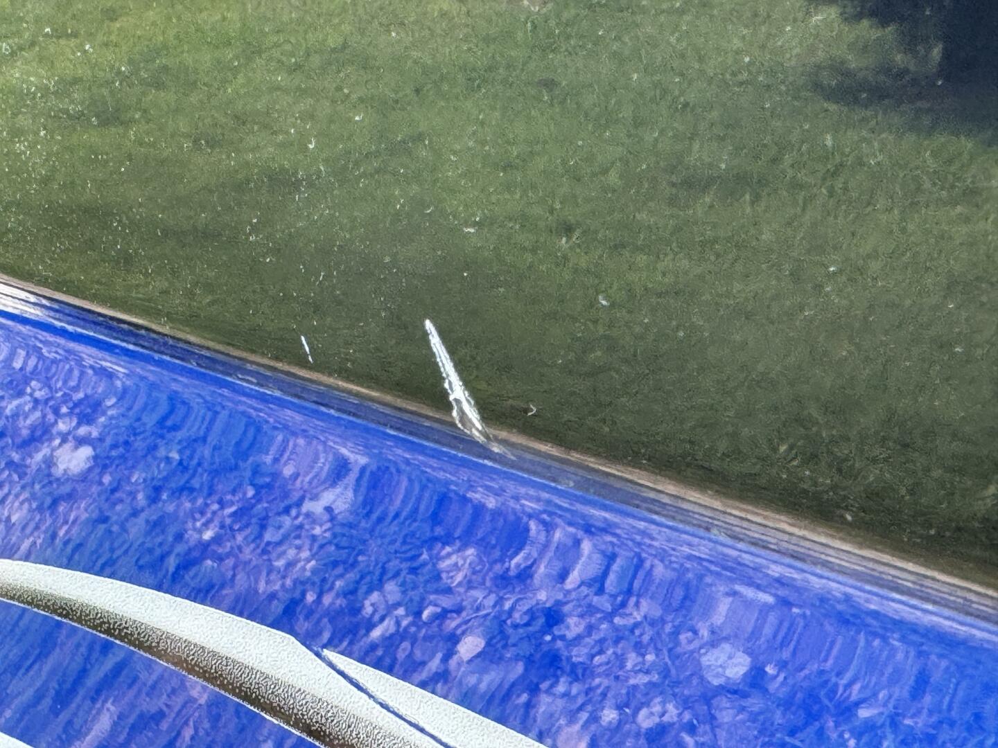 Slide: The Image of Malibu Wakesetter 21 VLX 2003 - 113