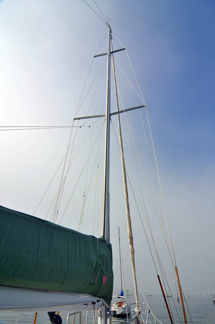 Slide: The Image of Mason 43 1981 - 5166785