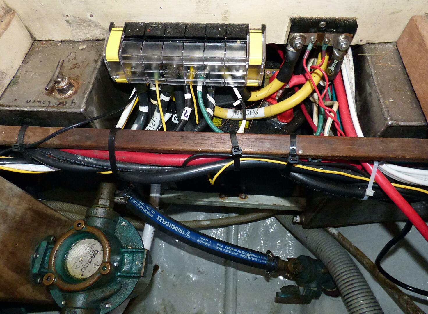 Slide: The Image of Mason 43 1981 - 5166842