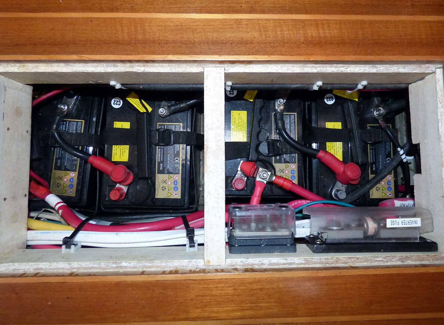 Slide: The Image of Mason 43 1981 - 5166843