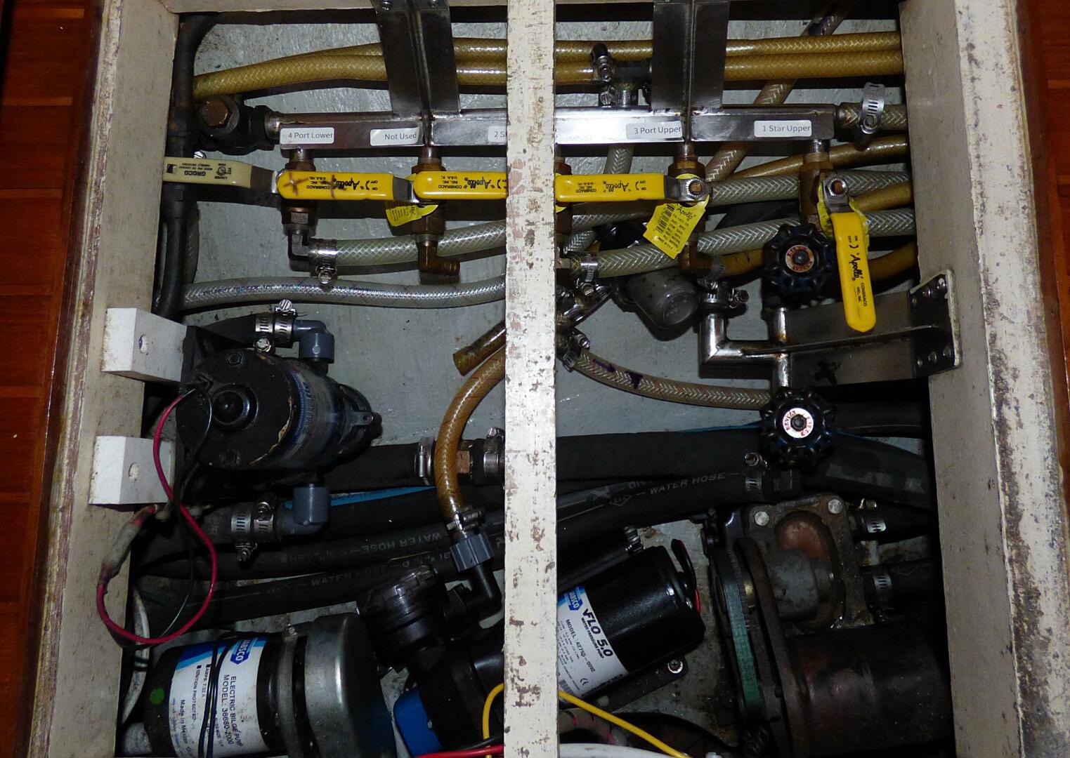 Slide: The Image of Mason 43 1981 - 5166848