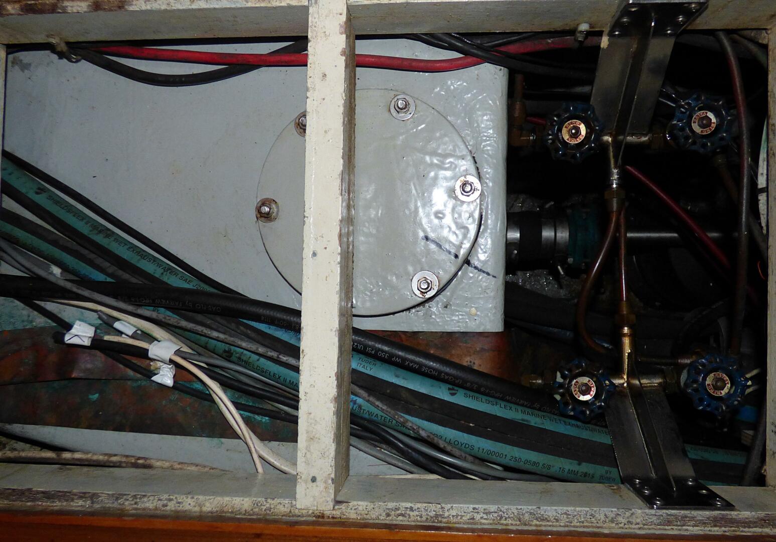 Slide: The Image of Mason 43 1981 - 5166849