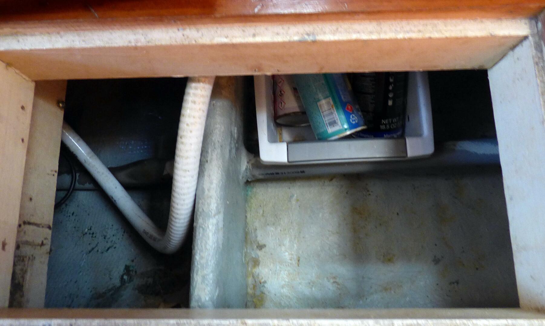 Slide: The Image of Mason 43 1981 - 5166866