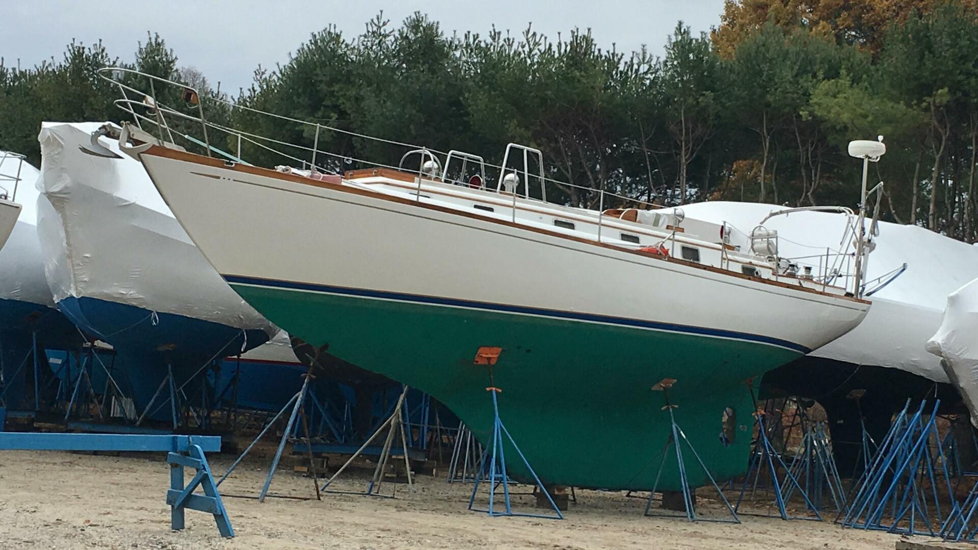 Slide: The Image of Mason 43 1981 - 5166901