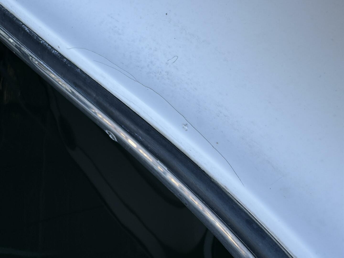 Slide: The Image of Maxum 2900 SCR 2003 - 4917369