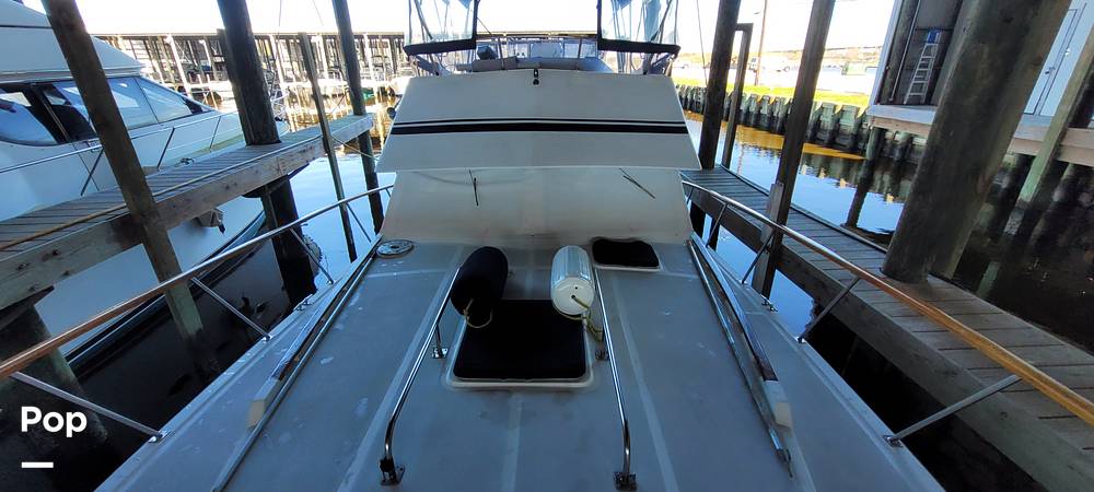 Slide: The Image of Mikelson 41 Sportfish 1986 - 13812596