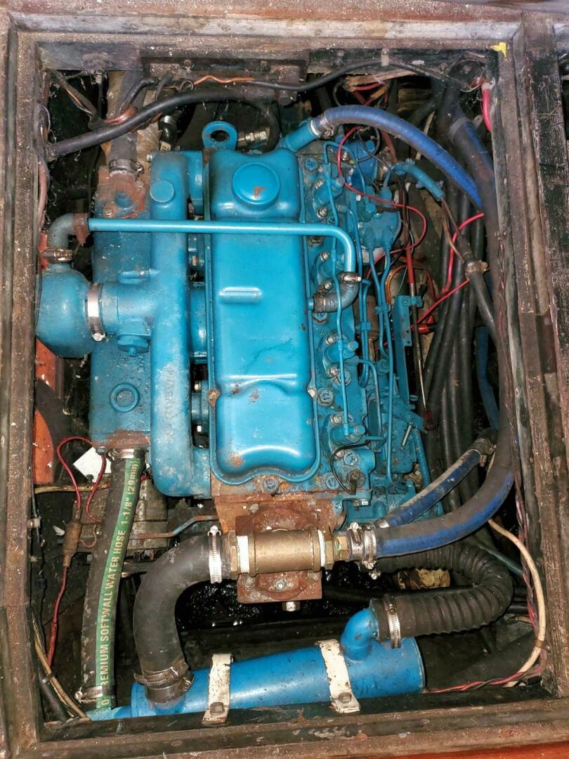 Slide: The Image of Miller Marine 44 1981 - 5011104