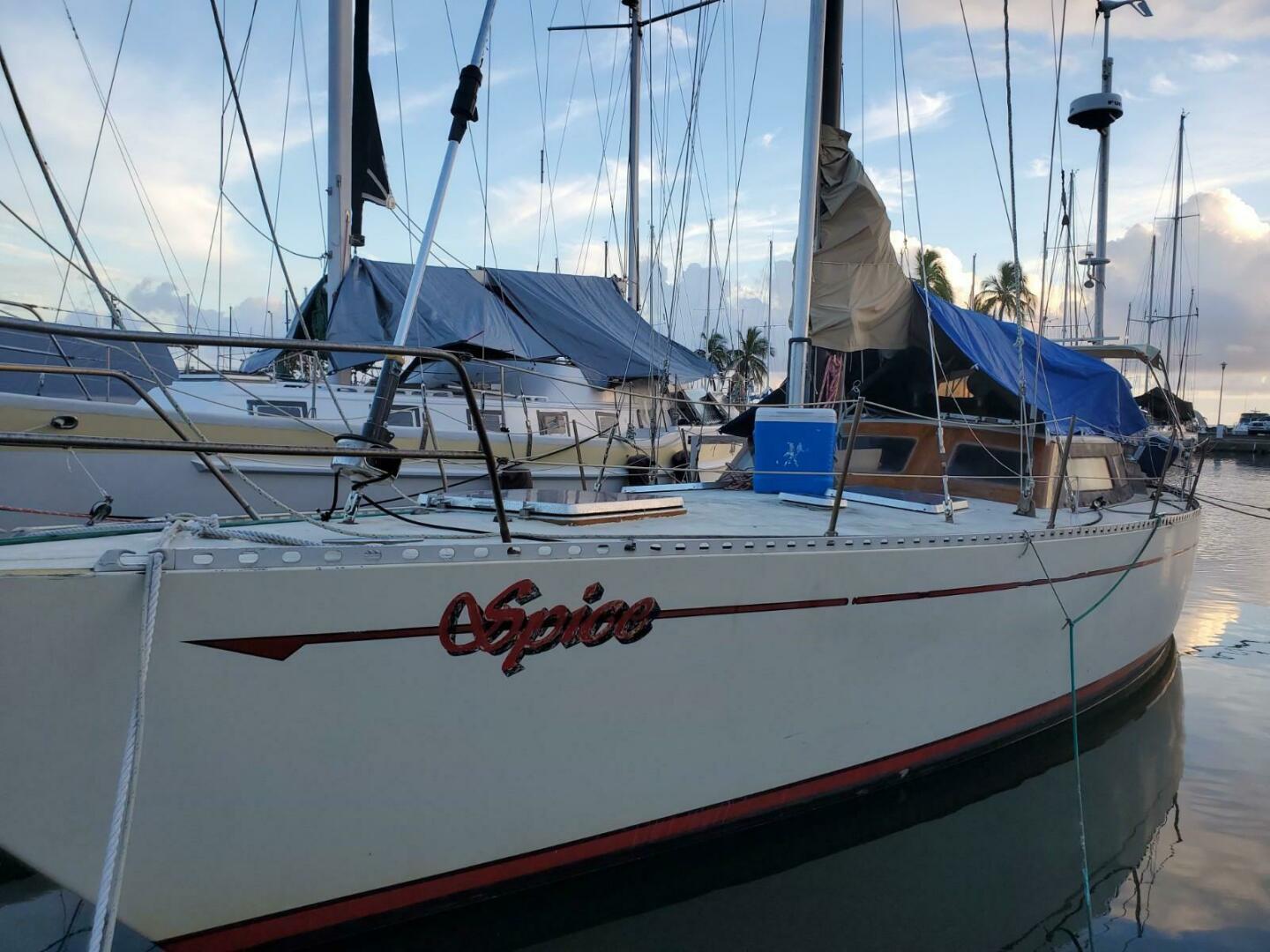 Slide: The Image of Miller Marine 44 1981 - 5011124