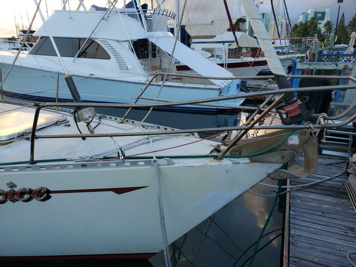 Slide: The Image of Miller Marine 44 1981 - 5011125