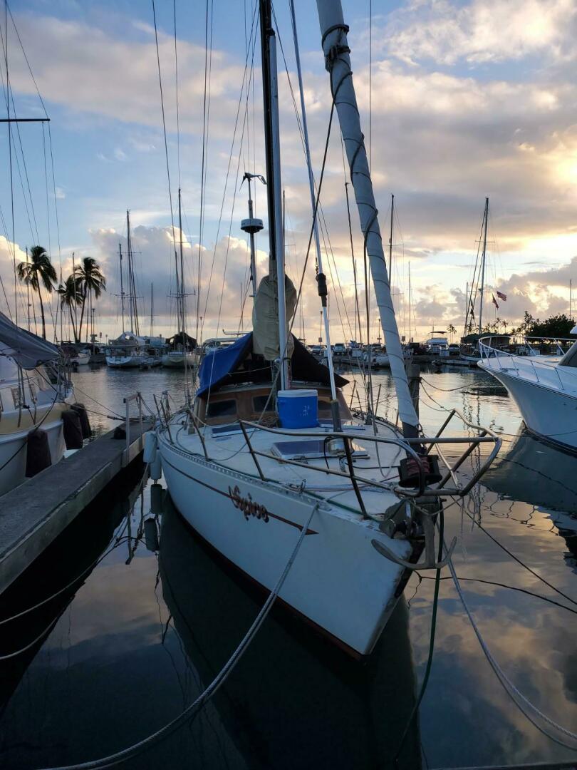 Slide: The Image of Miller Marine 44 1981 - 5011128