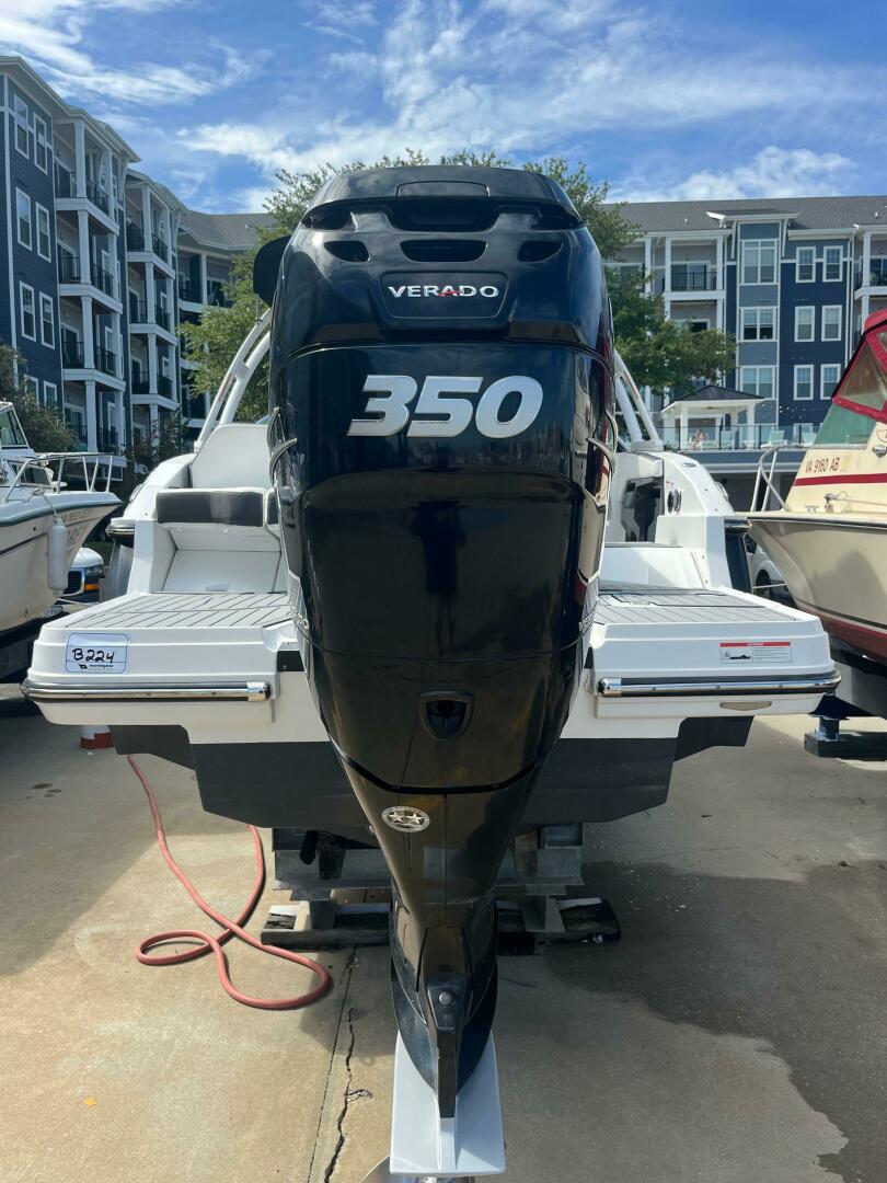 Slide: The Image of Monterey 275SS 2020 - 4767666