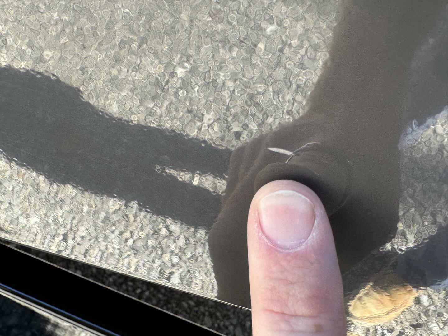 Slide: The Image of Monterey 278 SS 2019 - 4865946