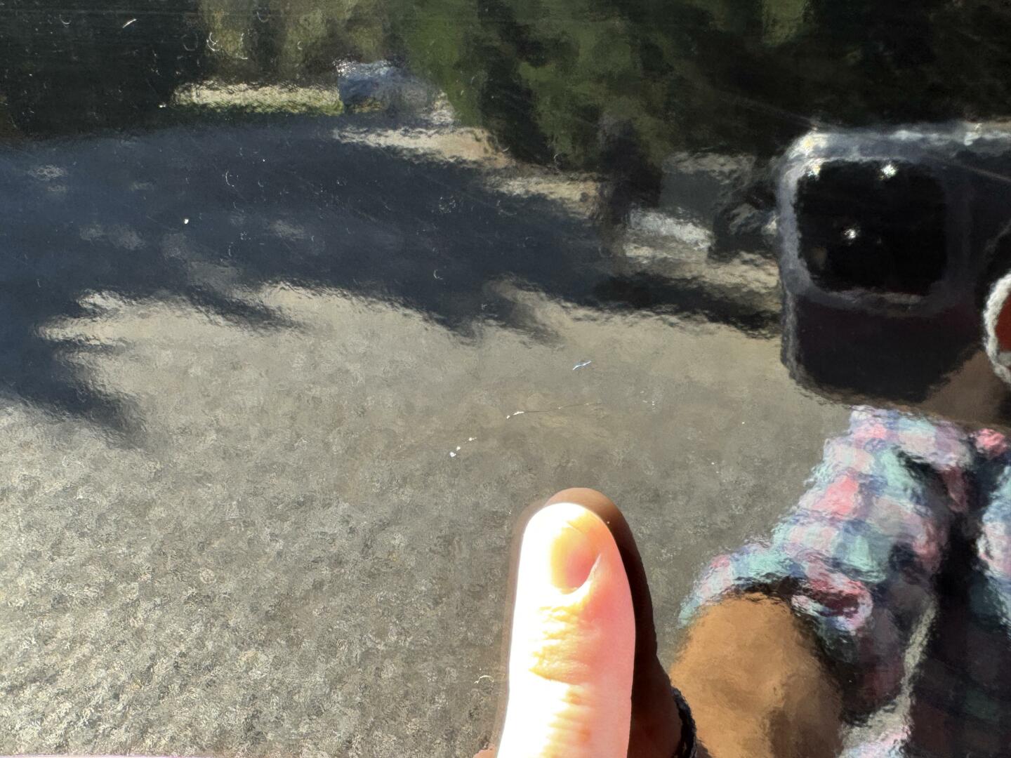 Slide: The Image of Monterey 278 SS 2019 - 4865899