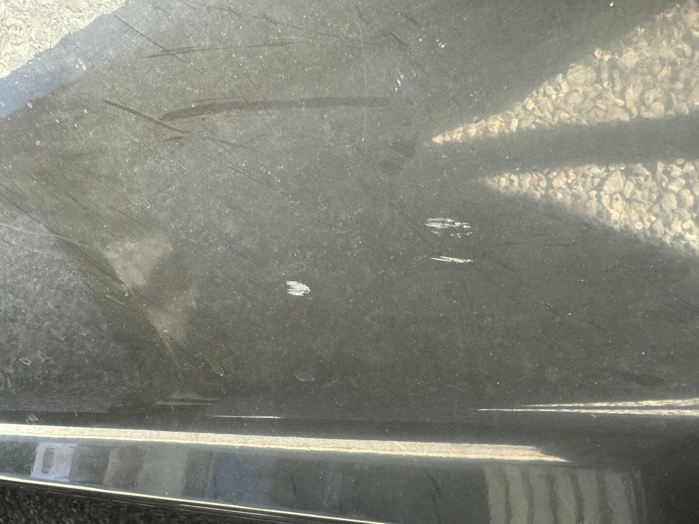 Slide: The Image of Monterey 278 SS 2019 - 4865933