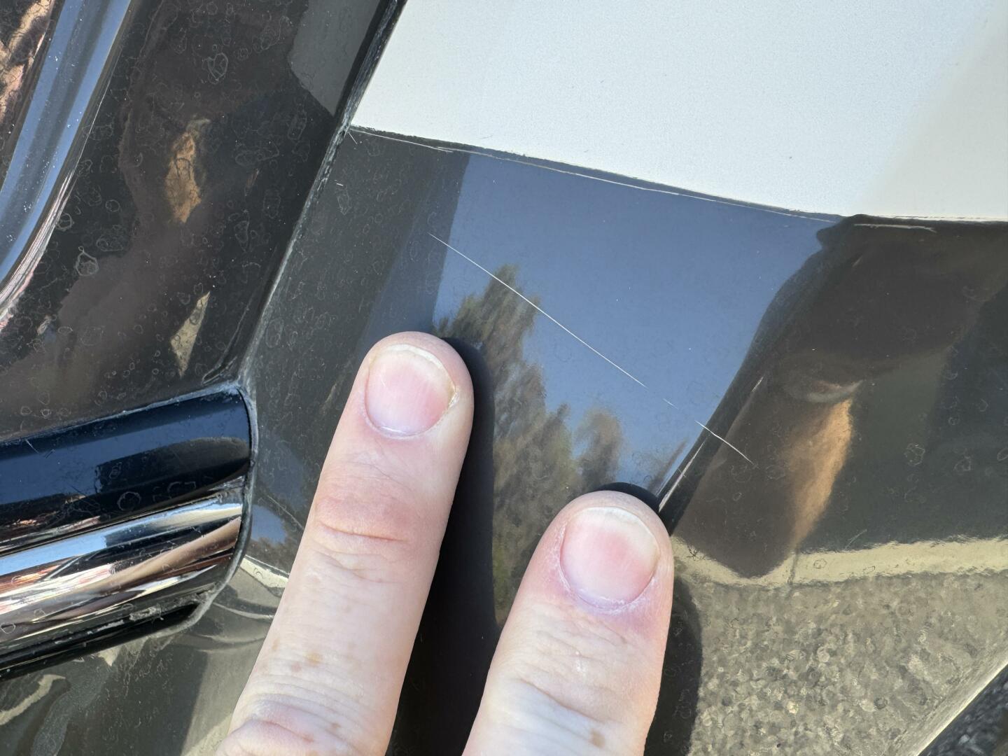 Slide: The Image of Monterey 278 SS 2019 - 4865943