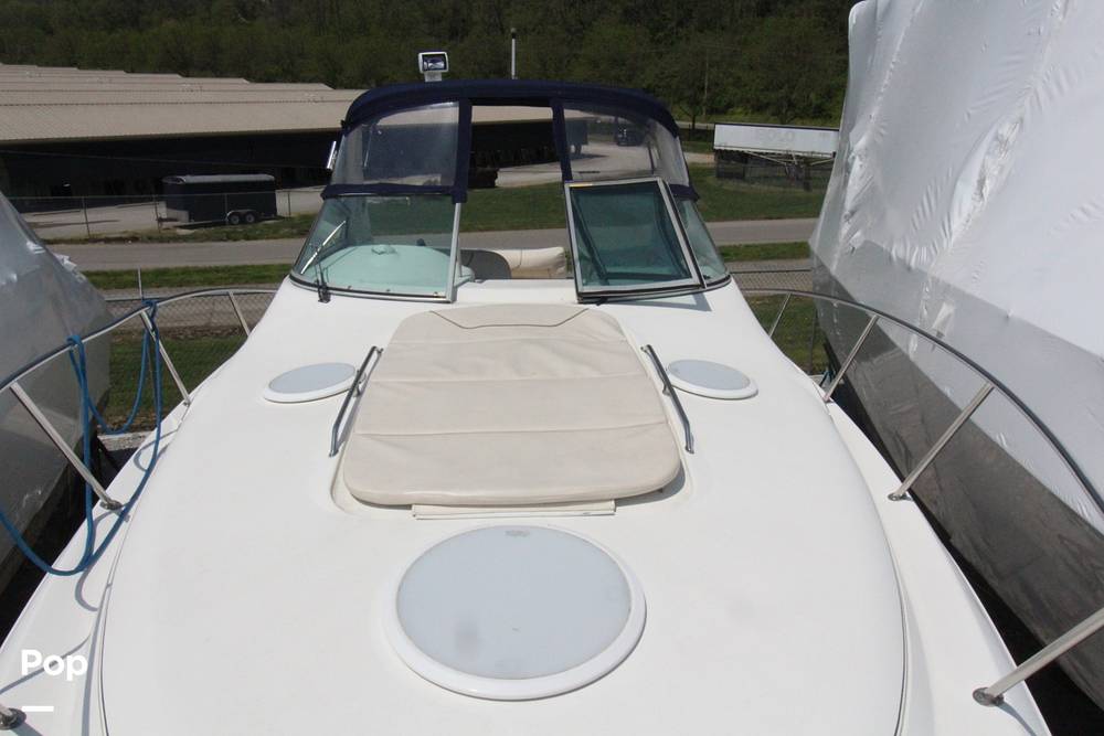 Slide: The Image of Sun Pad - Bow - 13545618