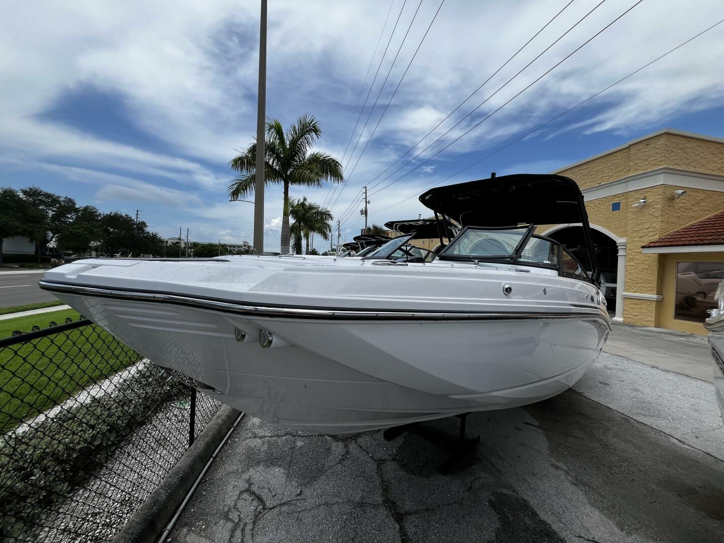 Slide: The Image of Monterey M-45 2024 - 4644353