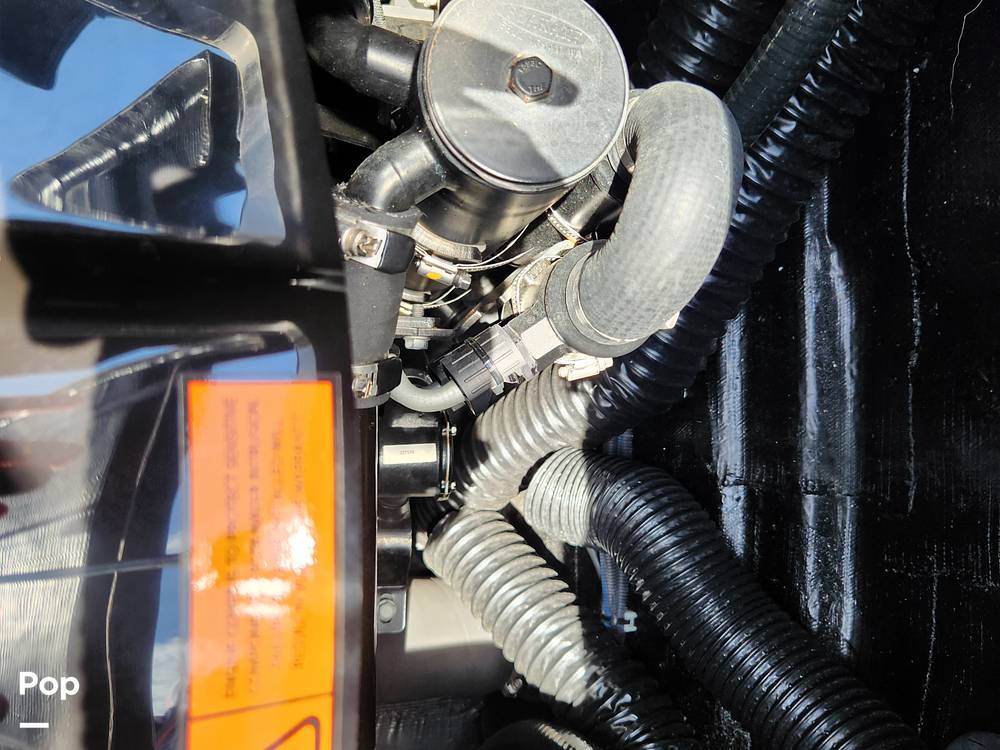 Slide: The Image of Moomba 25 Makai 2022 - 15494907