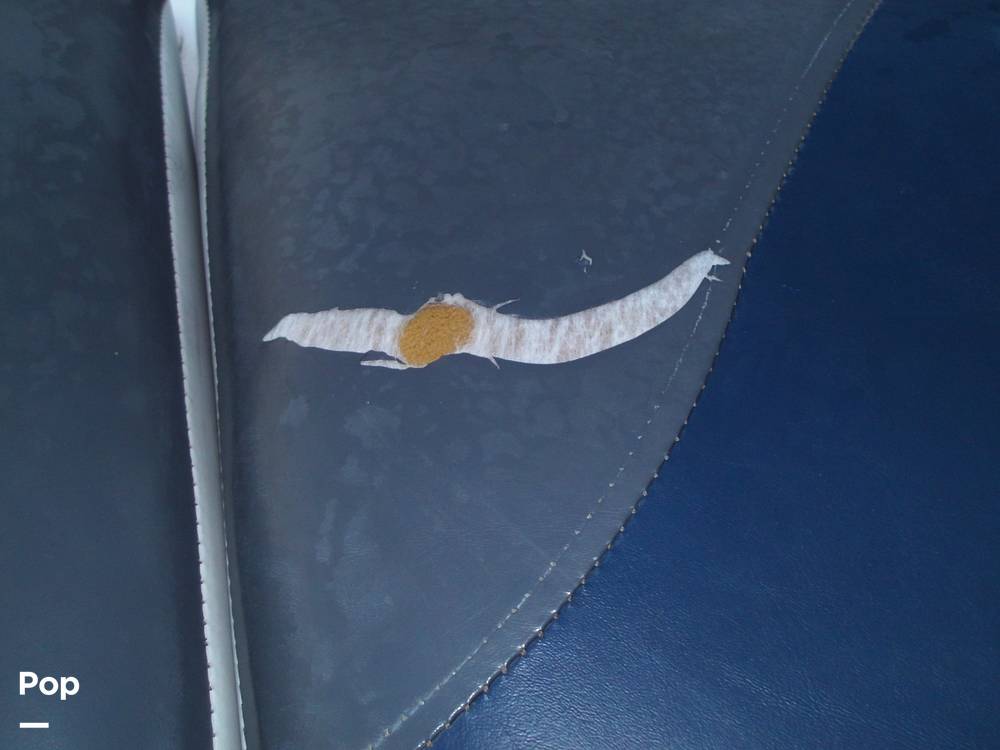 Slide: The Image of Seat Tear Detail - 11452053