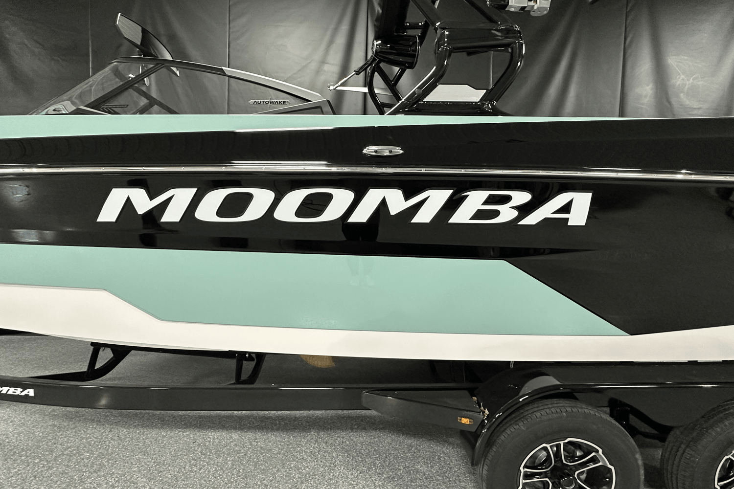 Slide: The Image of Moomba Tykon 2024 - 22