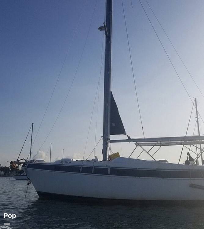 Slide: The Image of Morgan 33 Out Island 1979 - 15468188