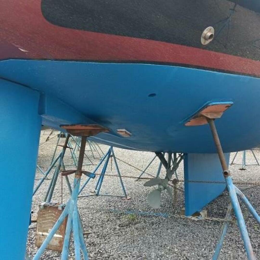 Slide: The Image of 1984 Morgan 454 - 4782510