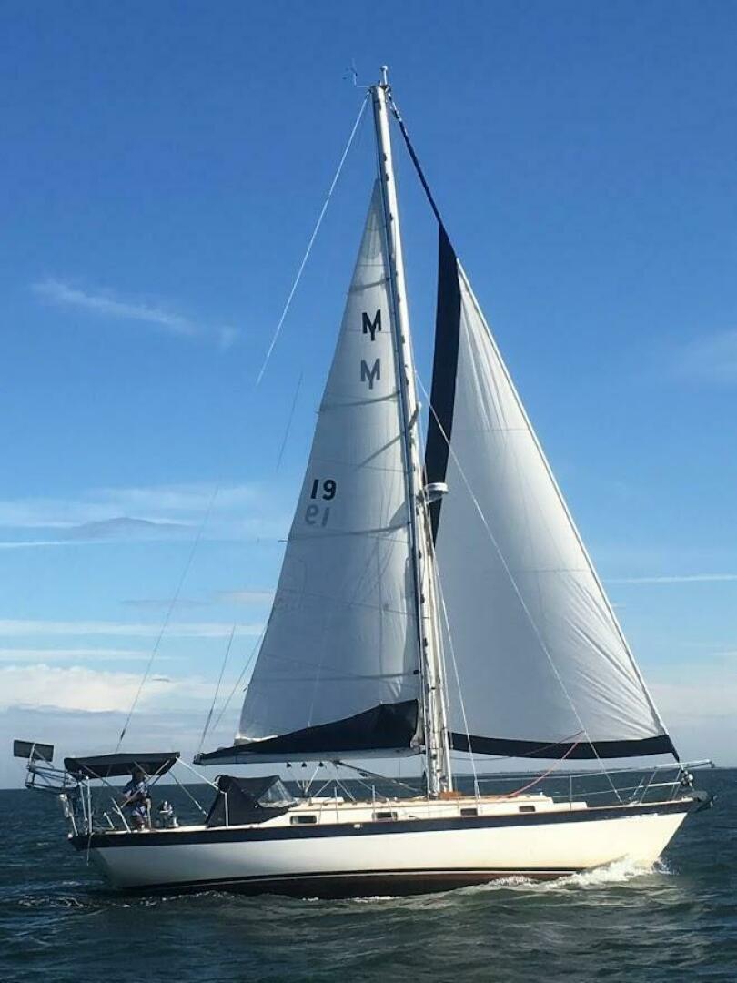 Slide: The Image of Morris Justine 36 Cutter 1990 - 5145626