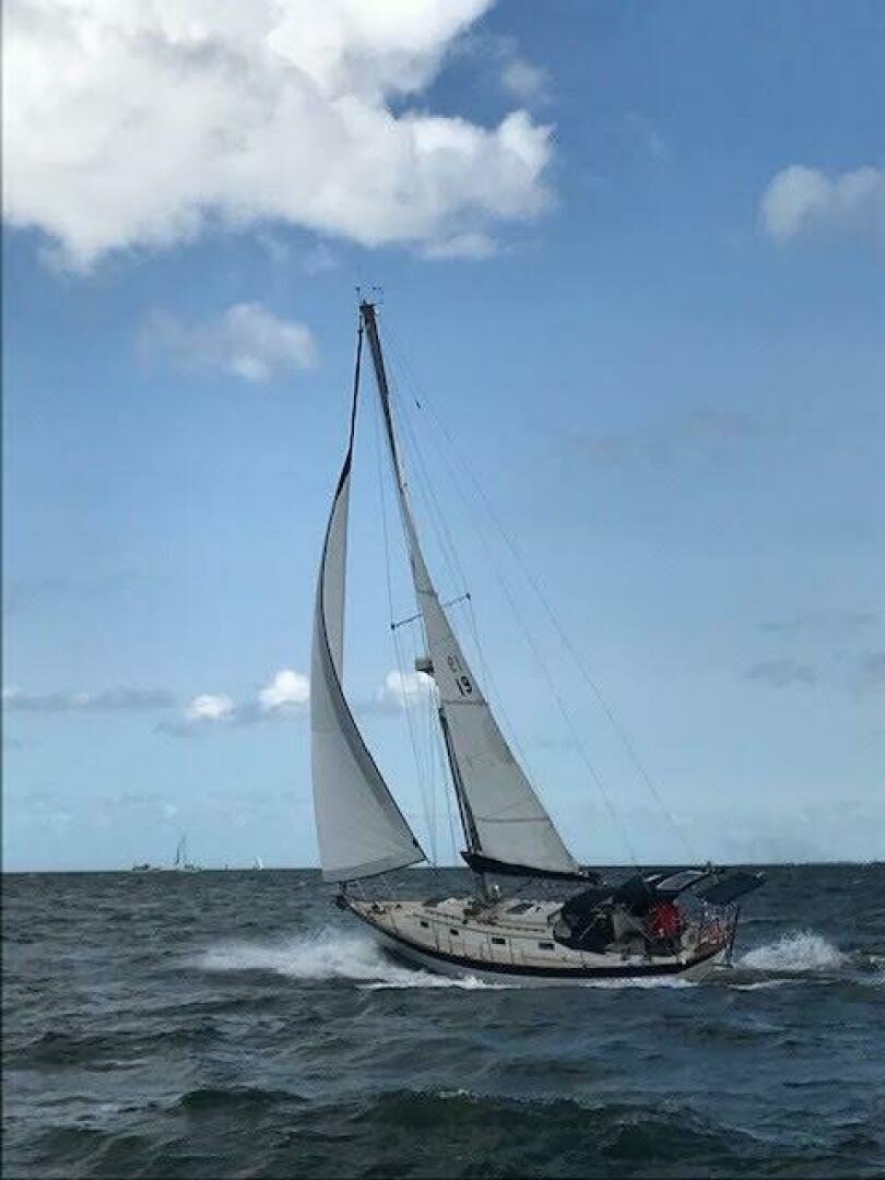 Slide: The Image of Morris Justine 36 Cutter 1990 - 5145627