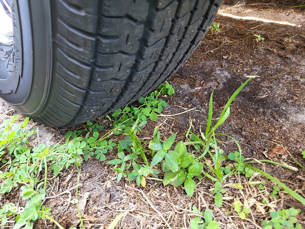 Slide: The Image of NauticStar 243 DC 2017 - 15732504