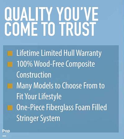 Slide: The Image of 2020 NAUTICSTAR Brochure - 15400328