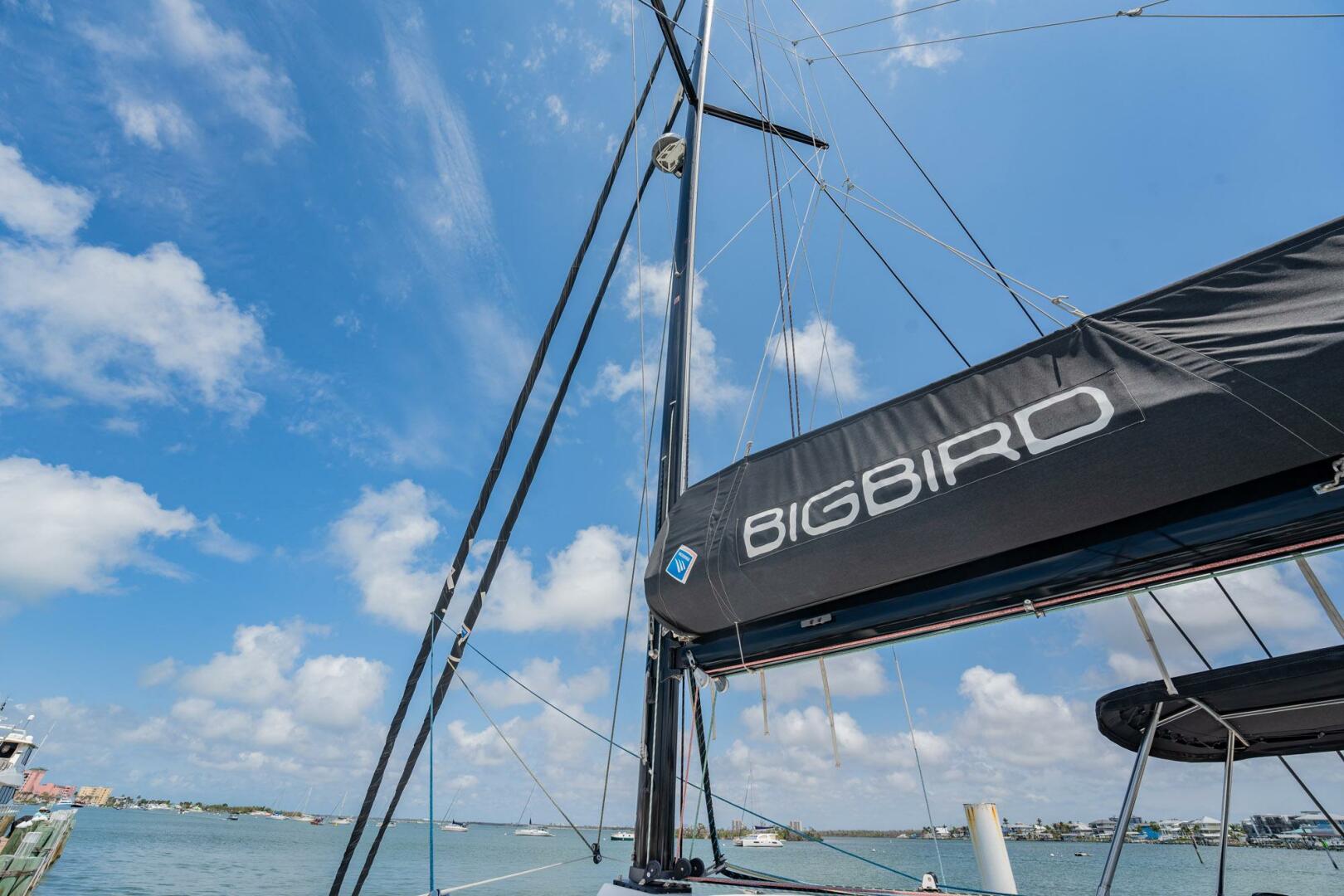 Slide: The Image of Neel 47 2021 - 4344863