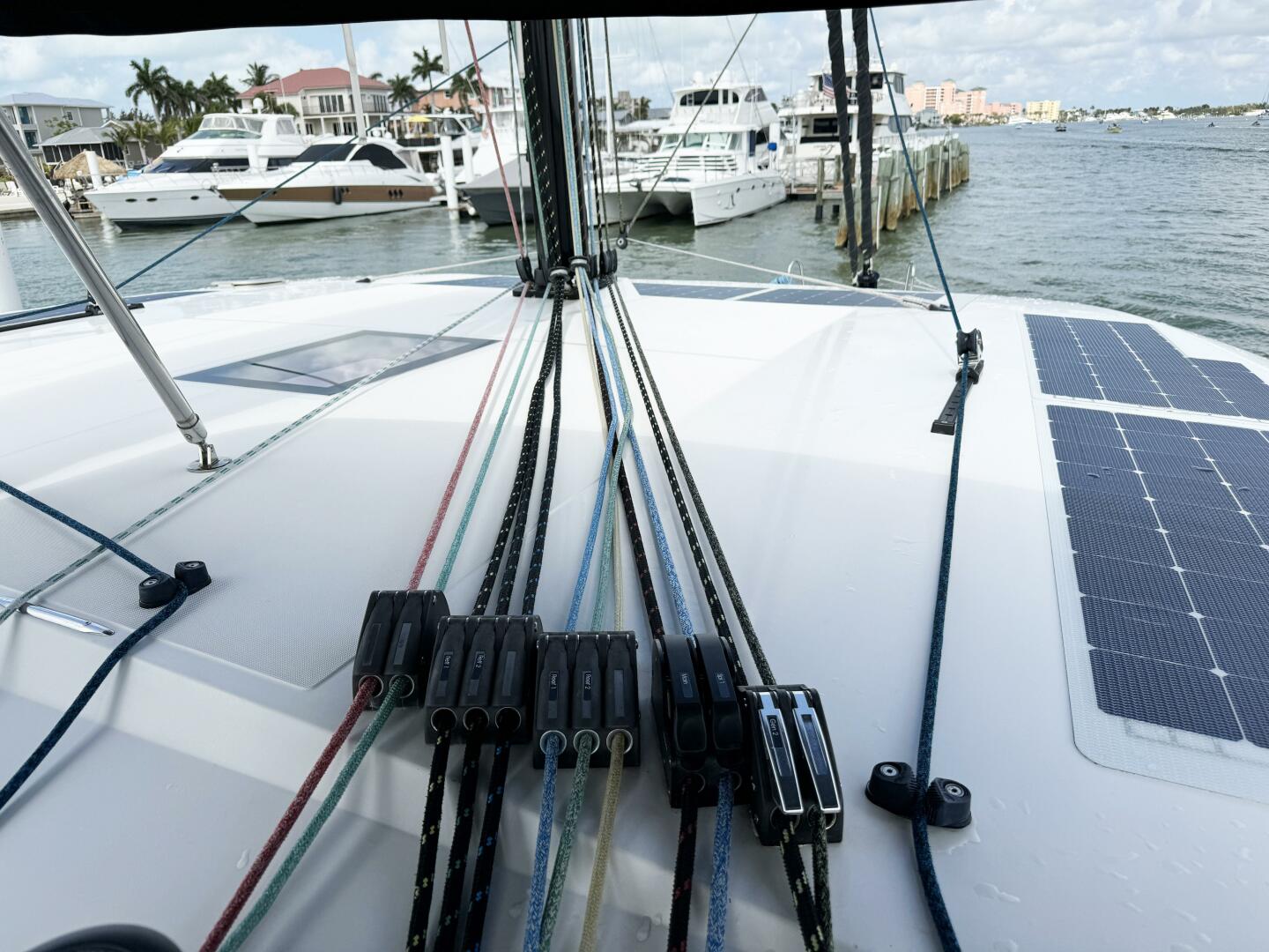 Slide: The Image of Neel 47 2021 - 4344865