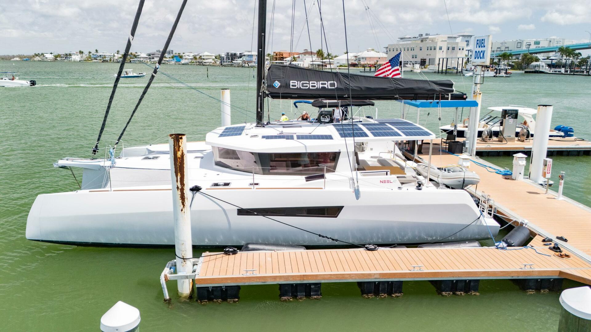 Slide: The Image of Neel 47 2021 - 4344888