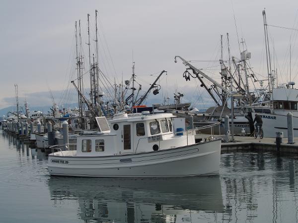 Slide: The Image of Nordic Tug 26 (2025) in a busy marina with fishing boats. - 1