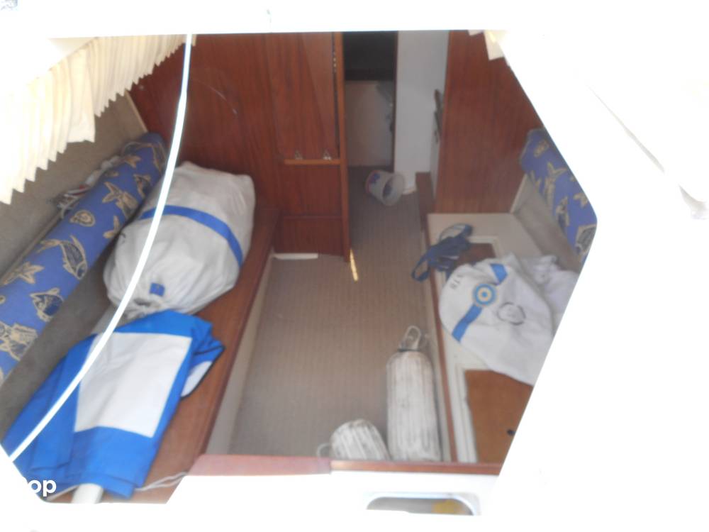 Slide: The Image of O'Day 25 1979 - 3891604
