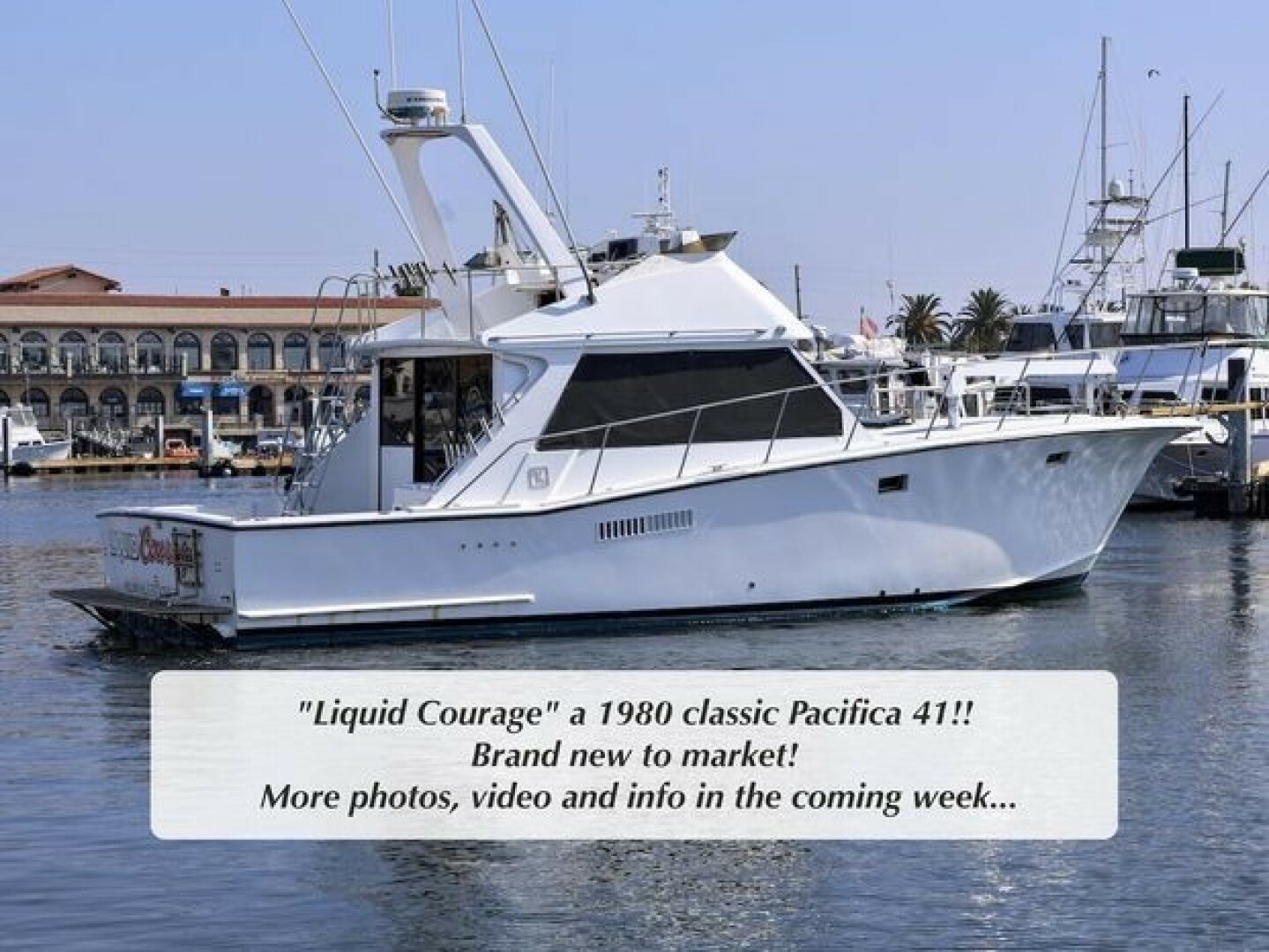 Slide: The Image of Pacifica 41 Sportfisher 1980 - 5296159
