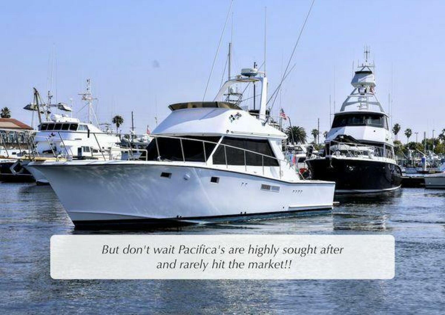 Slide: The Image of Pacifica 41 Sportfisher 1980 - 5296160