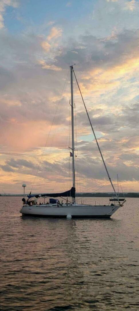 Slide: The Image of Palmer Johnson New York 40 Sloop 1978 - 5145008